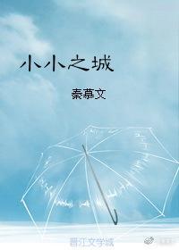 小小之城