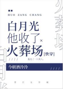 白月光他收了火葬場[快穿]