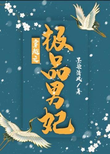穿越之極品男妃