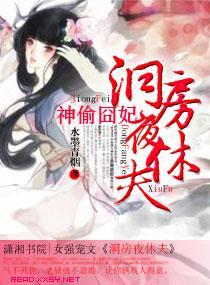 神偷妃，洞房夜休夫