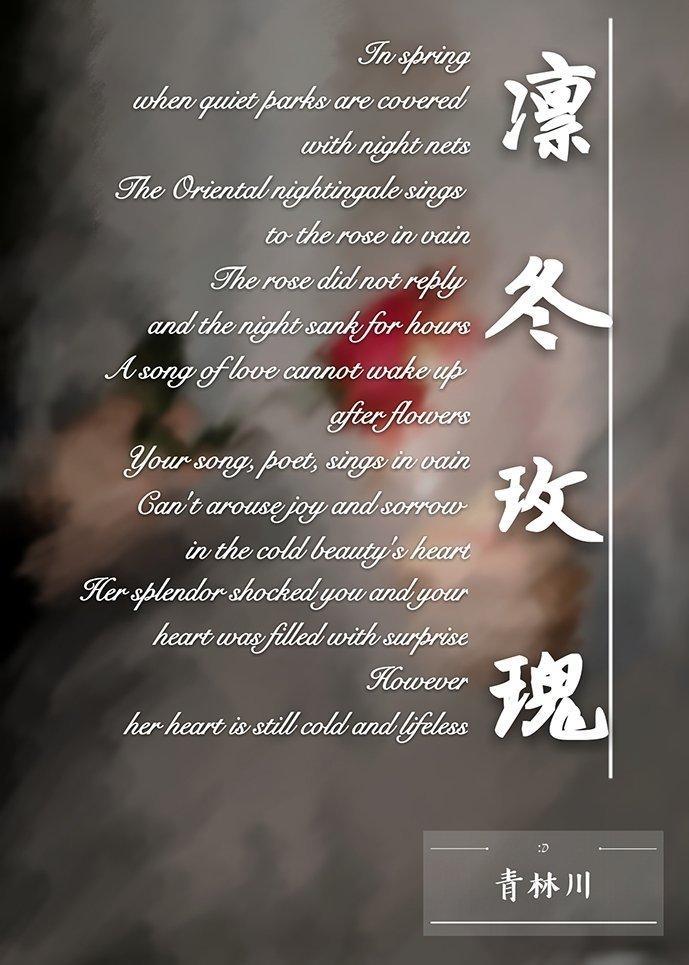 凜冬玫瑰