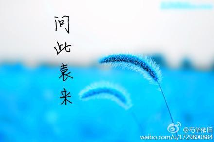 問此袁來