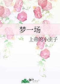夢一場