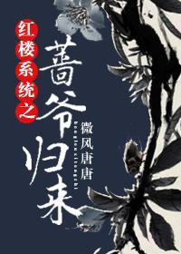 紅樓系統之薔爺歸來