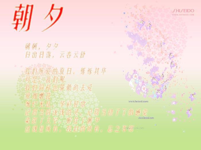 朝夕（網王之鳳BG）