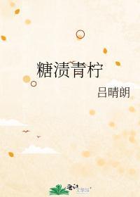 糖漬青檸