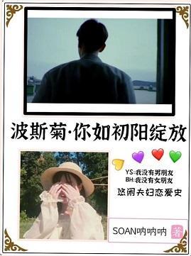 波斯菊