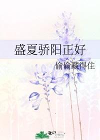 盛夏驕陽正好