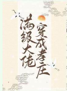 滿級大佬穿成孝莊（清穿）