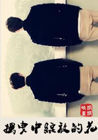 搖曳中綻放的花兒（碩彬版）
