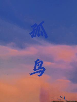 孤鳥