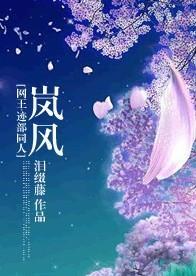 岚風