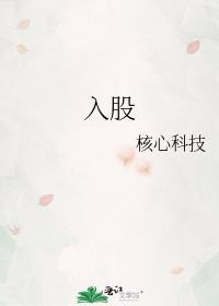 入股