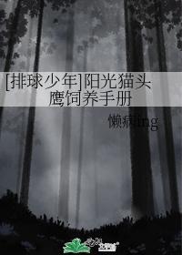 [排球少年同人]陽光貓頭鷹飼養手冊