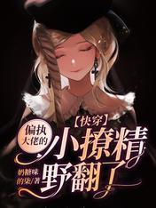 快穿：偏執大佬的小撩精野翻了