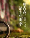 那青春，消失在雨季