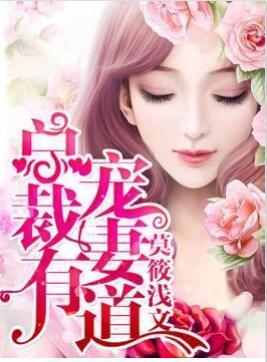 總裁寵妻有道