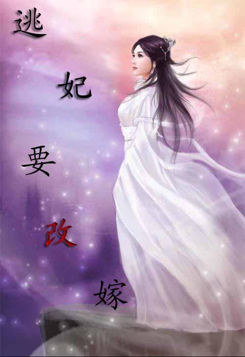 逃妃要改嫁