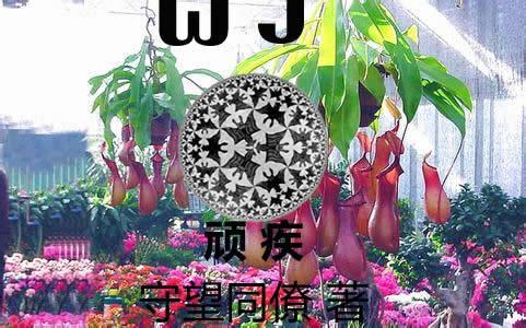 頑疾