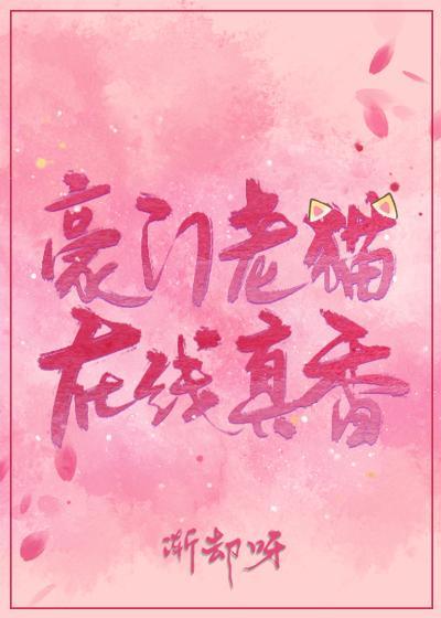豪門老貓，在線真香