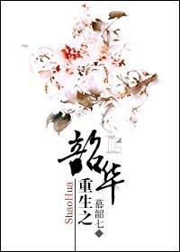 重生之韶華