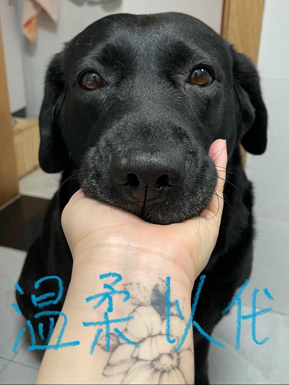 溫柔以代
