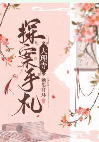 大理寺探案手劄