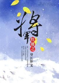 紅樓之将軍