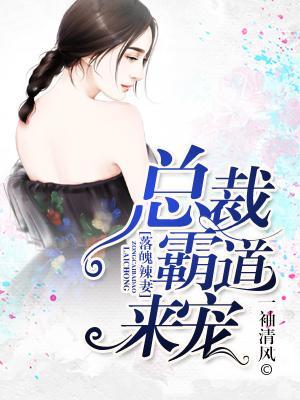 落魄辣妻，總裁霸道來寵