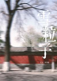雪粒子
