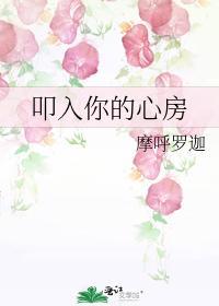 叩入你的心房