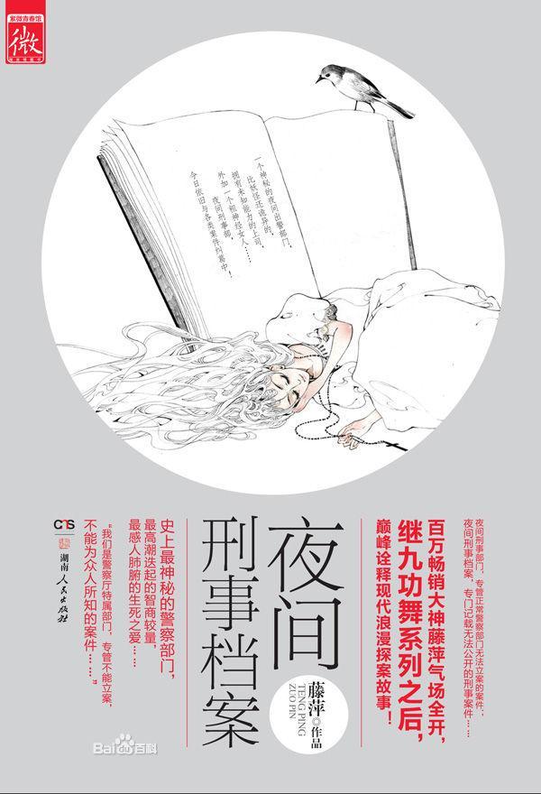 夜間刑事檔案