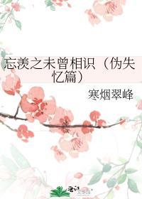 忘羨之未曾相識（僞失憶篇）