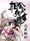 相公如此多嬌