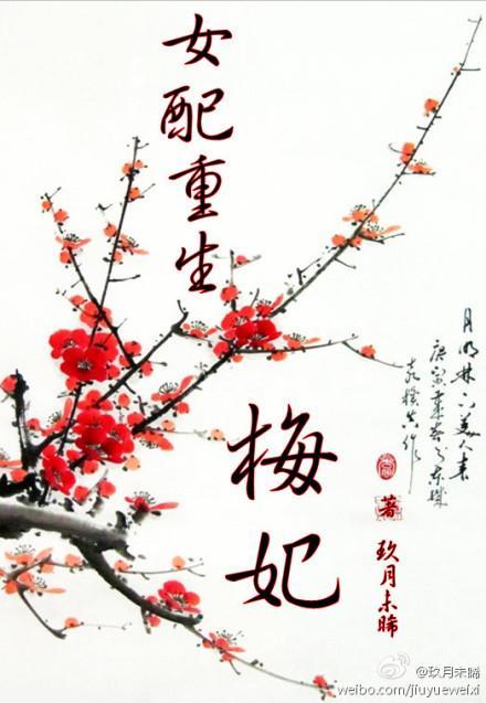 女配重生·梅妃（空間）