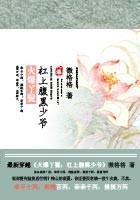 火爆丫鬟：杠上腹黑少爺