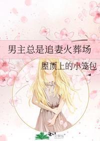 男主總是追妻火葬場