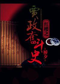 賈政奮鬥史