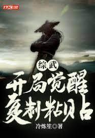 綜武：開局覺醒複制粘貼
