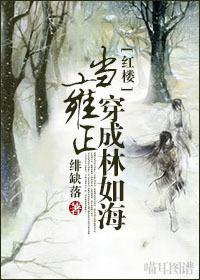 當雍正穿成林如海