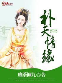 補天情緣