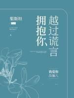 越過謊言擁抱你