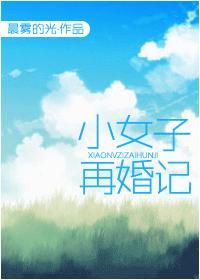 小女子再婚記