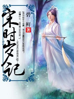 宋時歲記