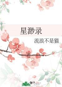 星渺錄