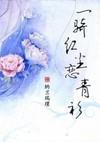 一騎紅塵戀青衫