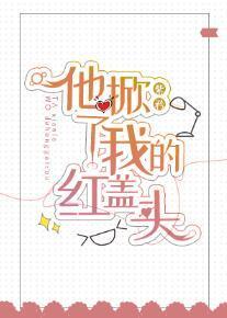 他掀了我的紅蓋頭