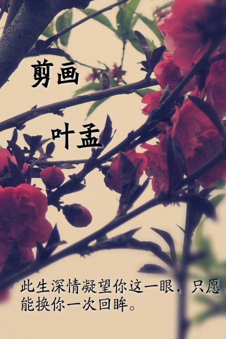剪畫
