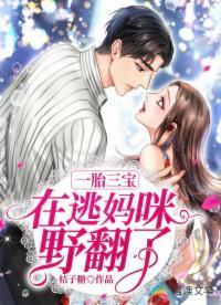 一胎三寶：在逃媽咪野翻了