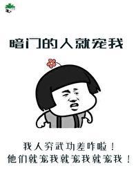暗門的人就寵我